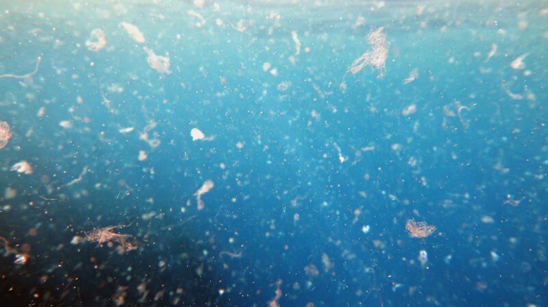 海洋汚染