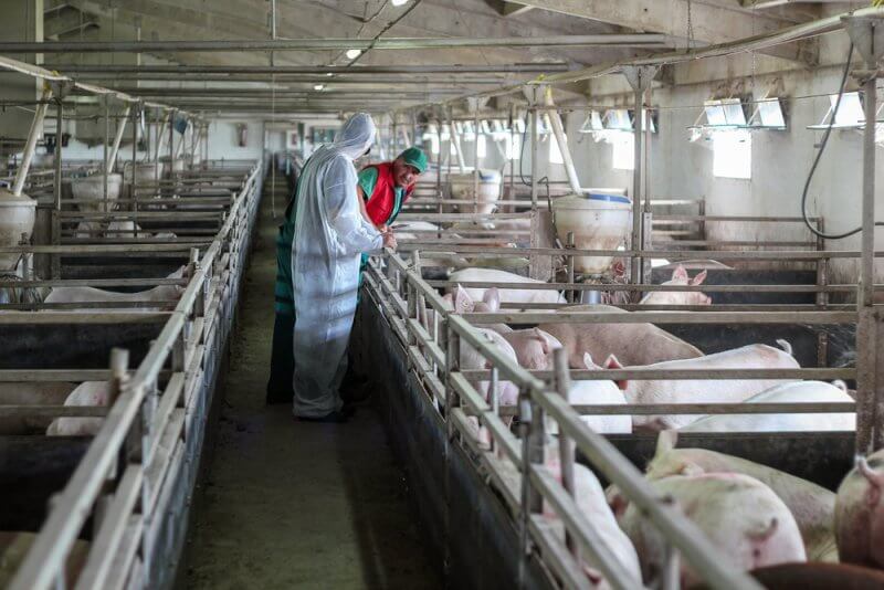 "Luật Phòng chống bệnh truyền nhiễm chăn nuôi (Bộ Nông nghiệp, Lâm nghiệp và Thủy sản)" đối với các sản phẩm thịt (giăm bông và xúc xích), trứng và các sản phẩm từ sữa,...