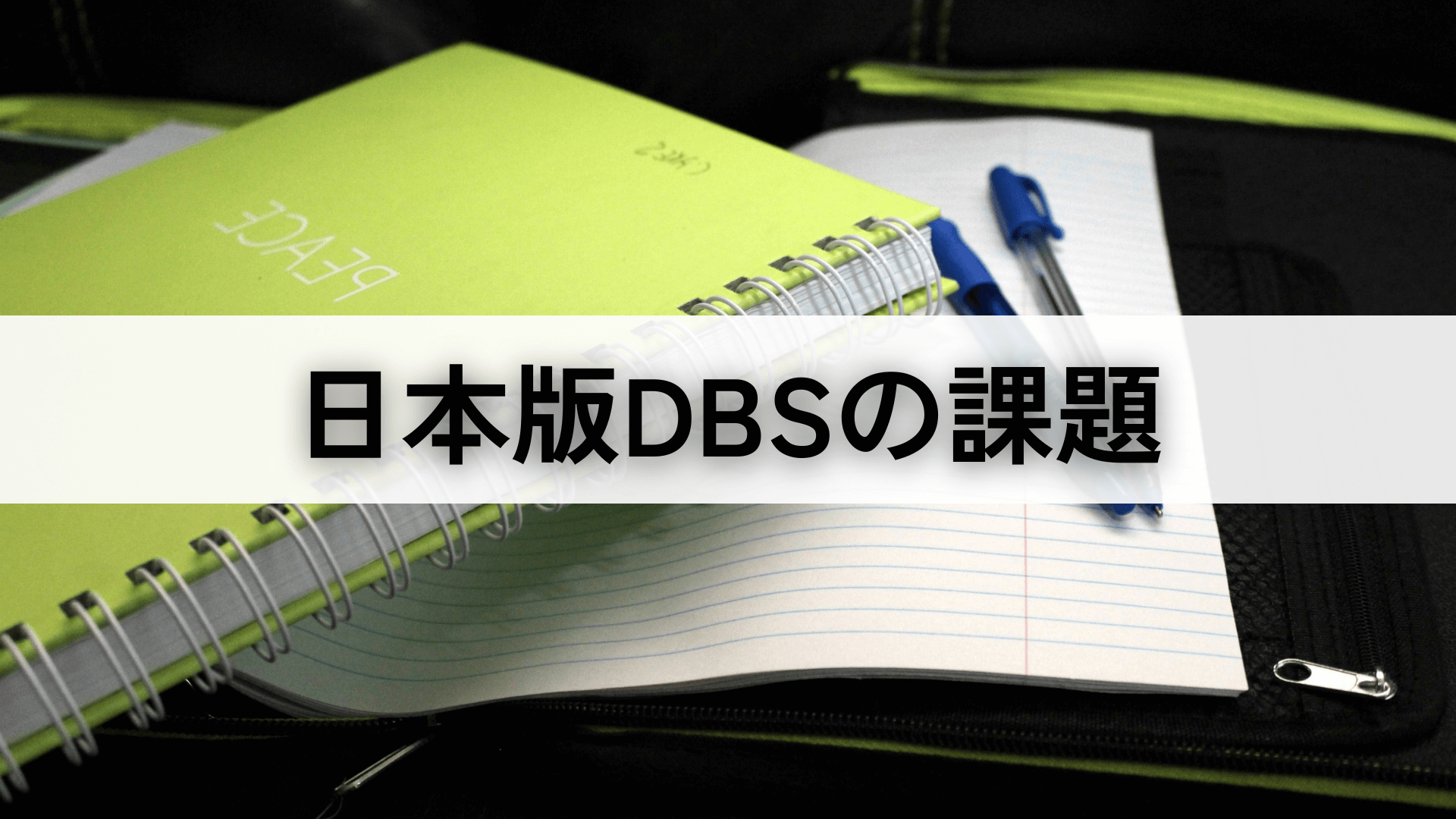 日本版DBSの課題